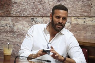 nikos papas eurovouleutis